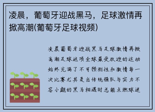 凌晨，葡萄牙迎战黑马，足球激情再掀高潮(葡萄牙足球视频)
