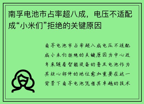 南孚电池市占率超八成，电压不适配成“小米们”拒绝的关键原因