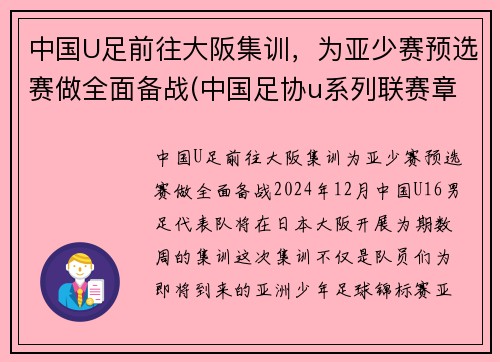 中国U足前往大阪集训，为亚少赛预选赛做全面备战(中国足协u系列联赛章程)