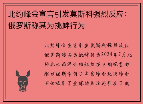 北约峰会宣言引发莫斯科强烈反应：俄罗斯称其为挑衅行为